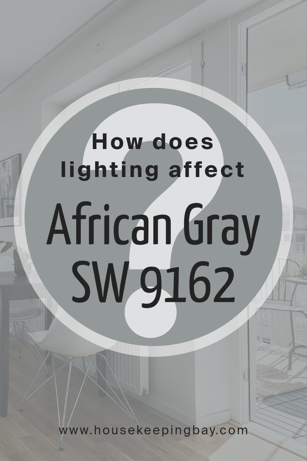 how_does_lighting_affect_african_gray_sw_9162