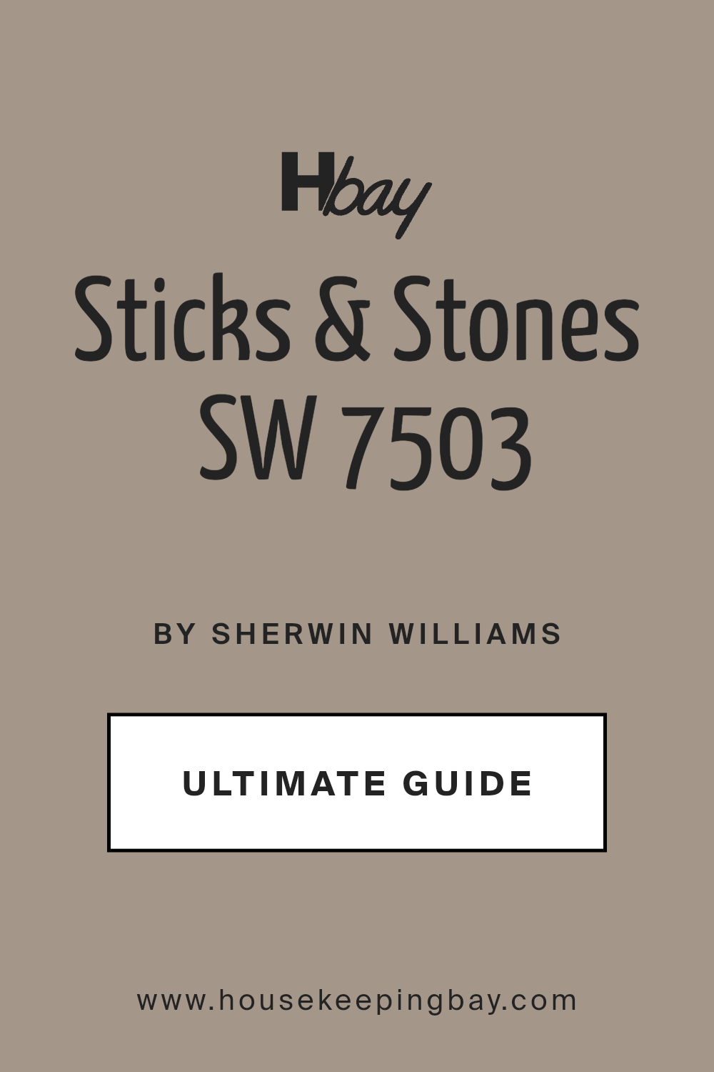 sticks_stones_sw_7503_paint_color_by_sherwin_williams_ultimate_guide