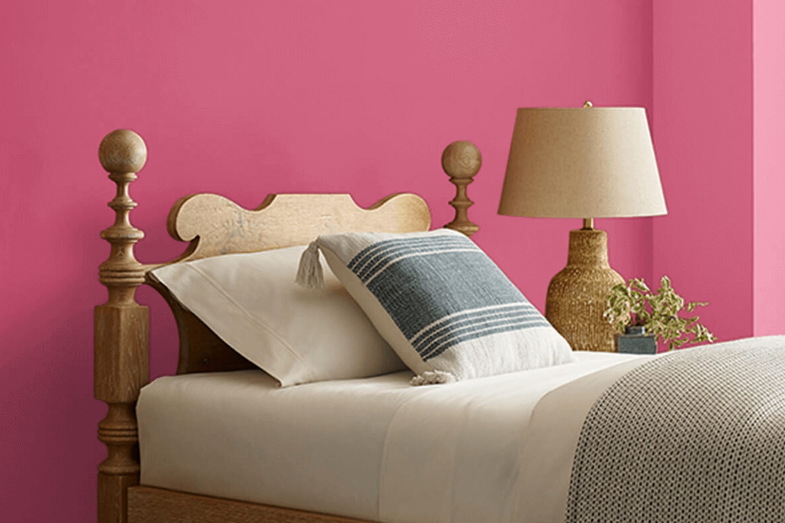 Dragon Fruit SW 6855 by Sherwin Williams