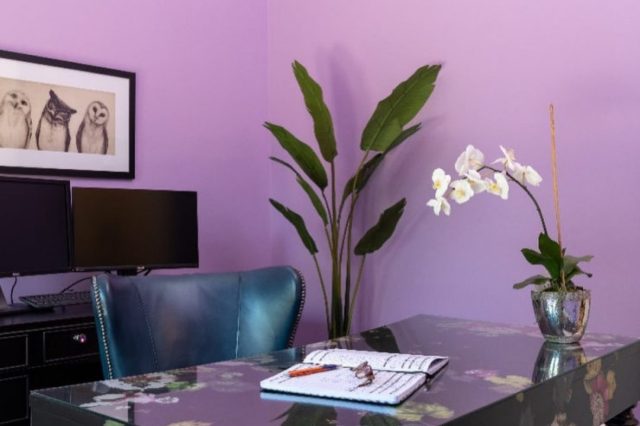 Euphoric Lilac SW 6835 Paint Color by Sherwin Williams