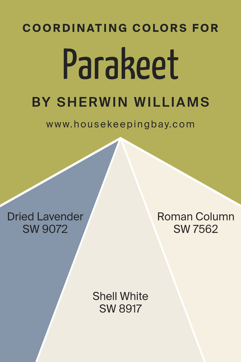 coordinating_colors_of_parakeet_sw_6711