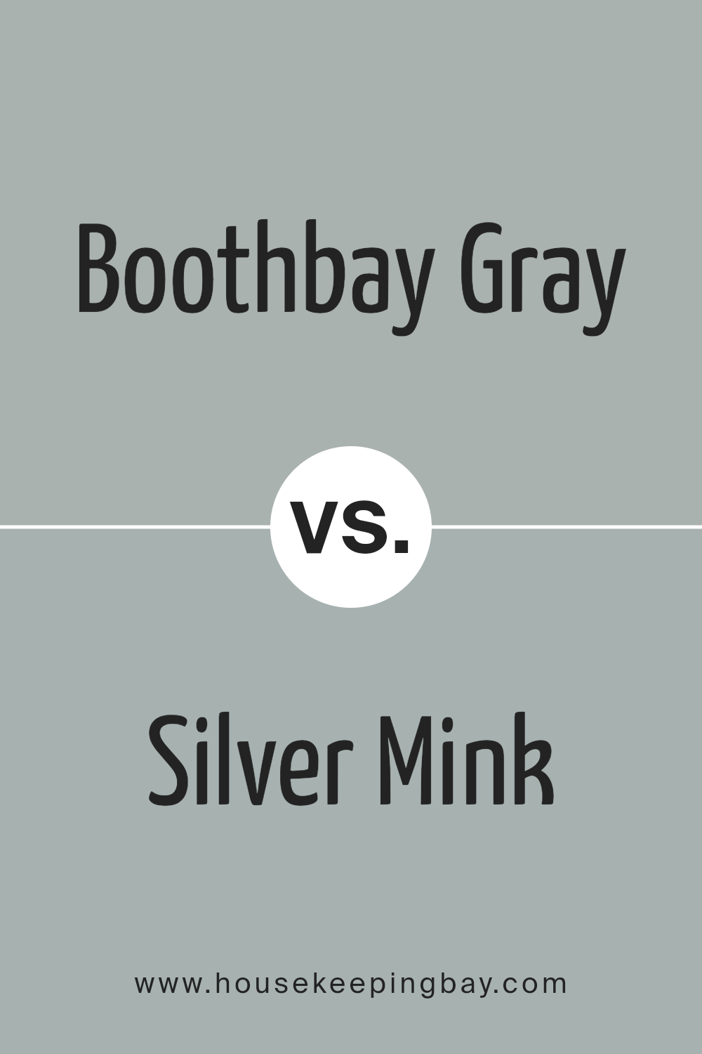 boothbay_gray_hc_165_vs_silver_mink_1586