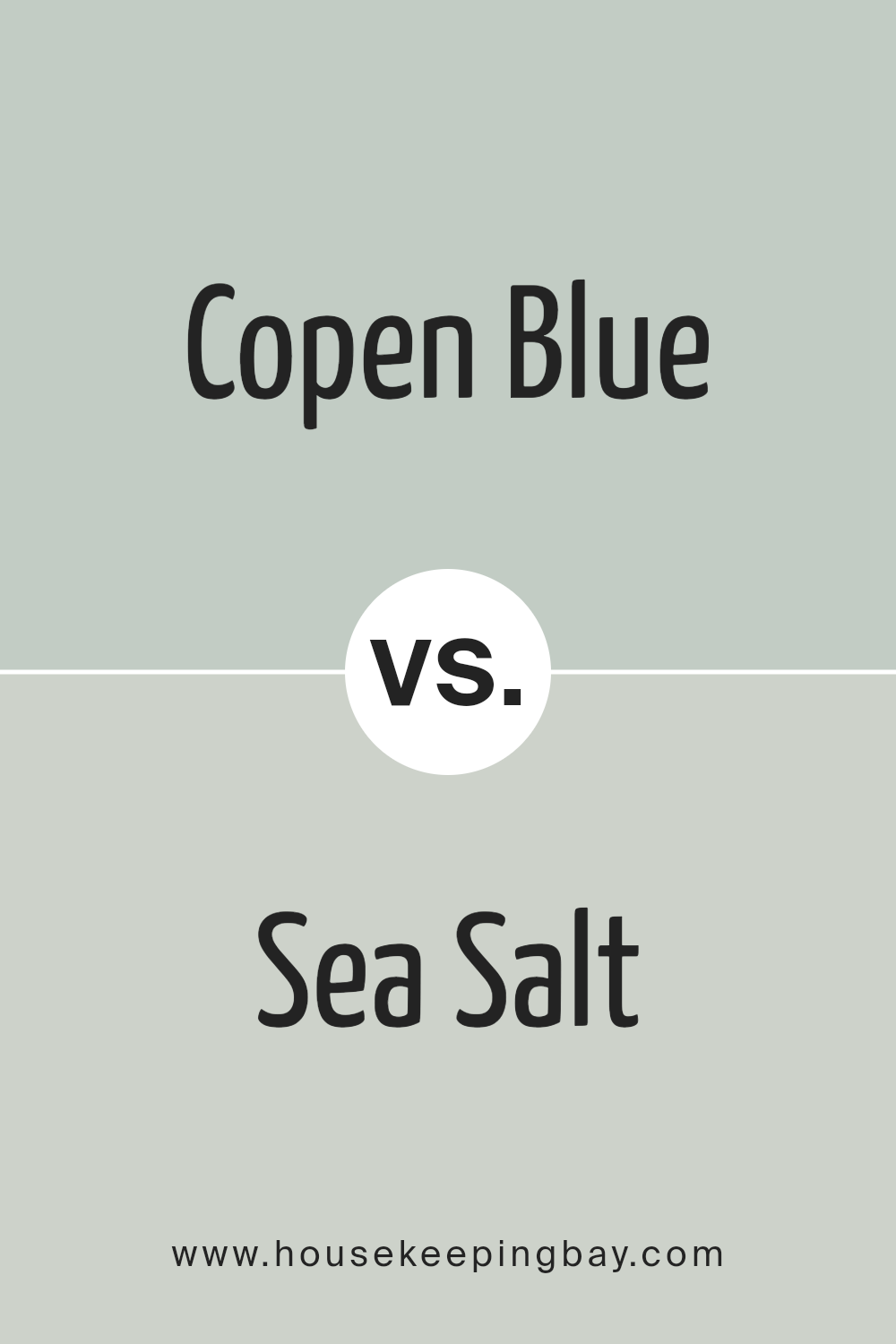 copen_blue_sw_0068_vs_sea_salt_sw_6204