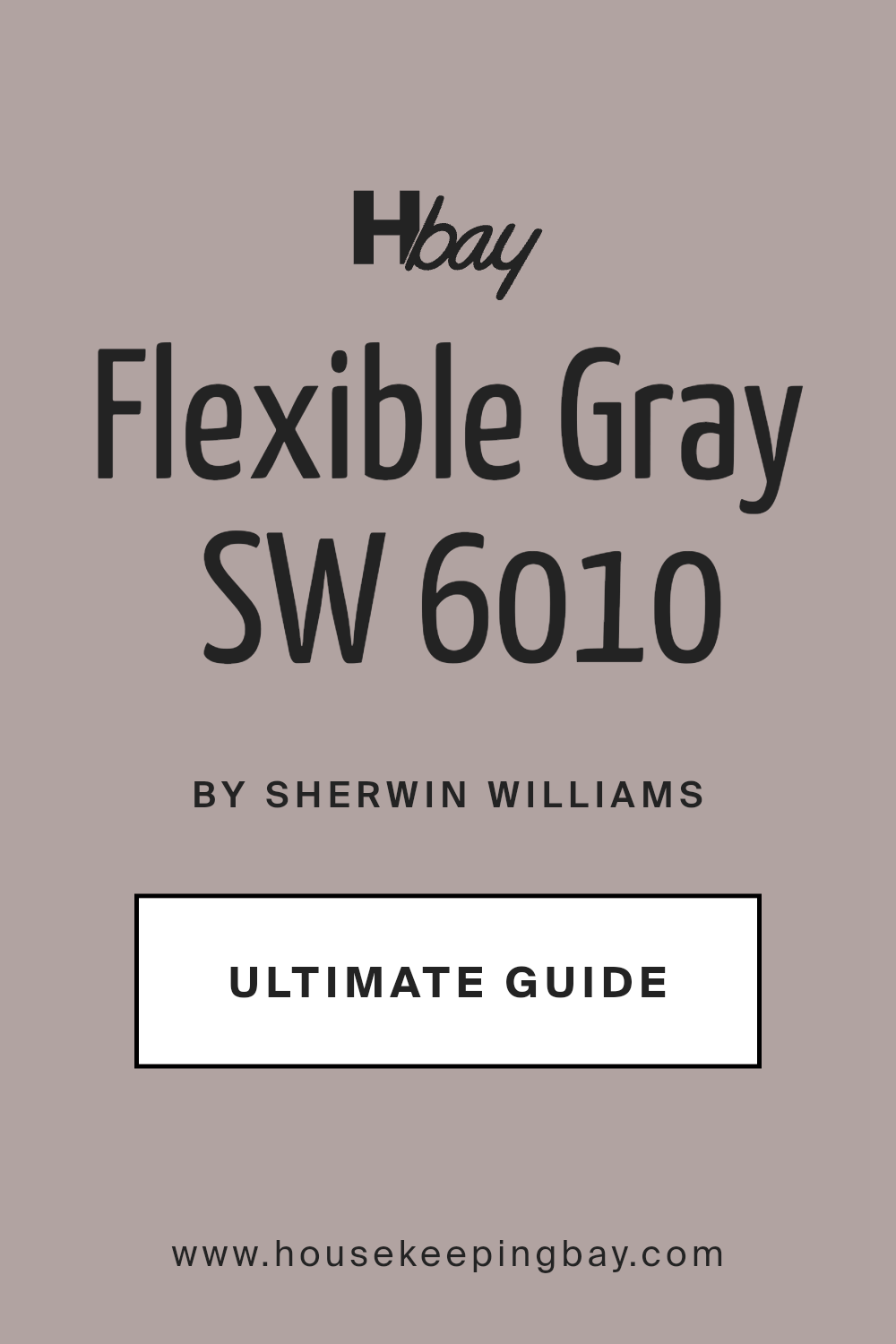 flexible_gray_sw_6010_paint_color_by_sherwin_williams_ultimate_guide