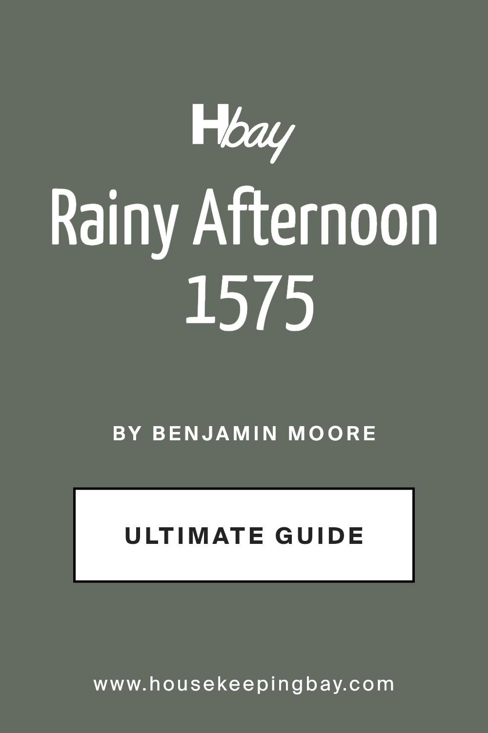 rainy_afternoon_1575_paint_color_by_benjamin_moore_ultimate_guide