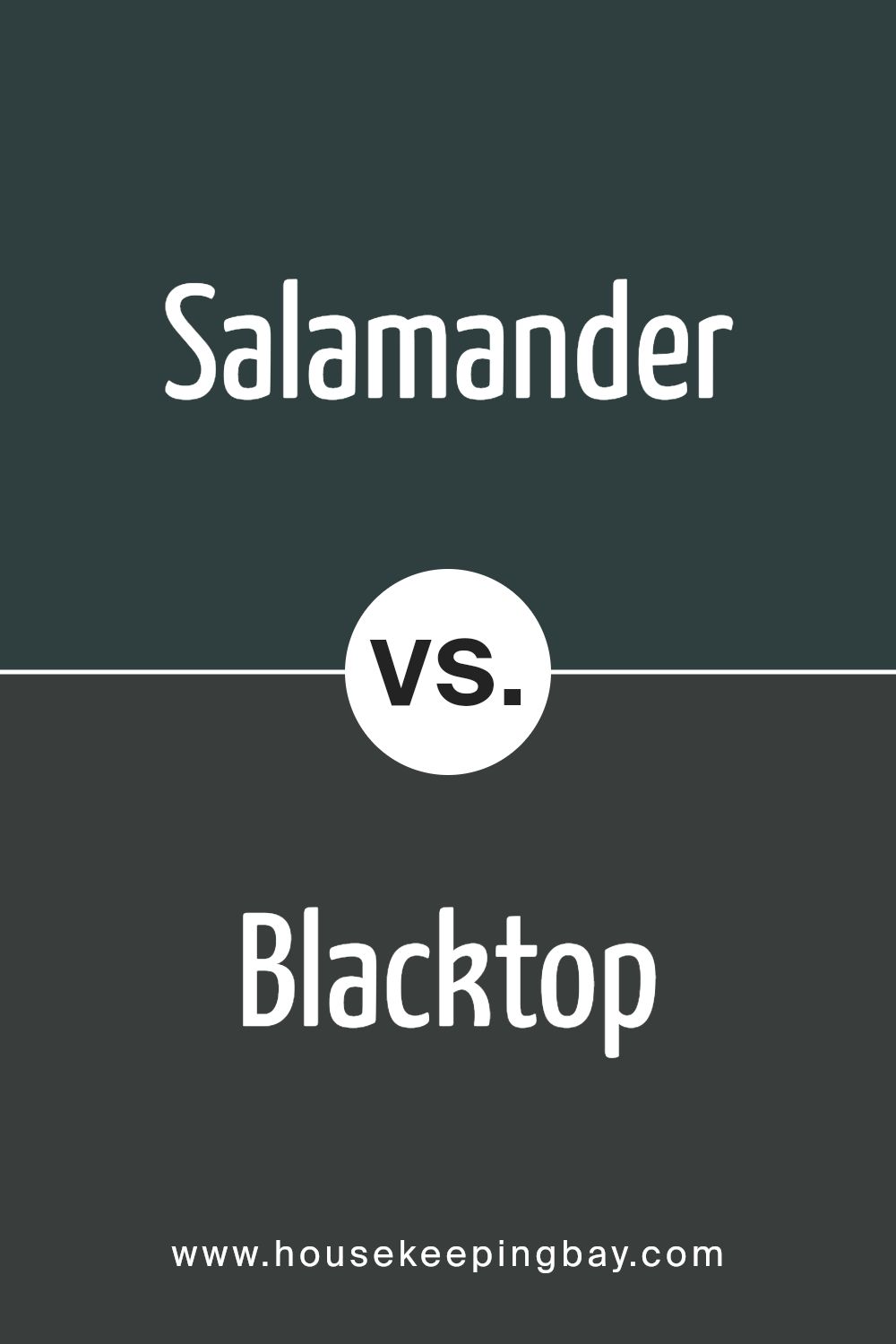 salamander_2050_10_vs_blacktop_2135_10