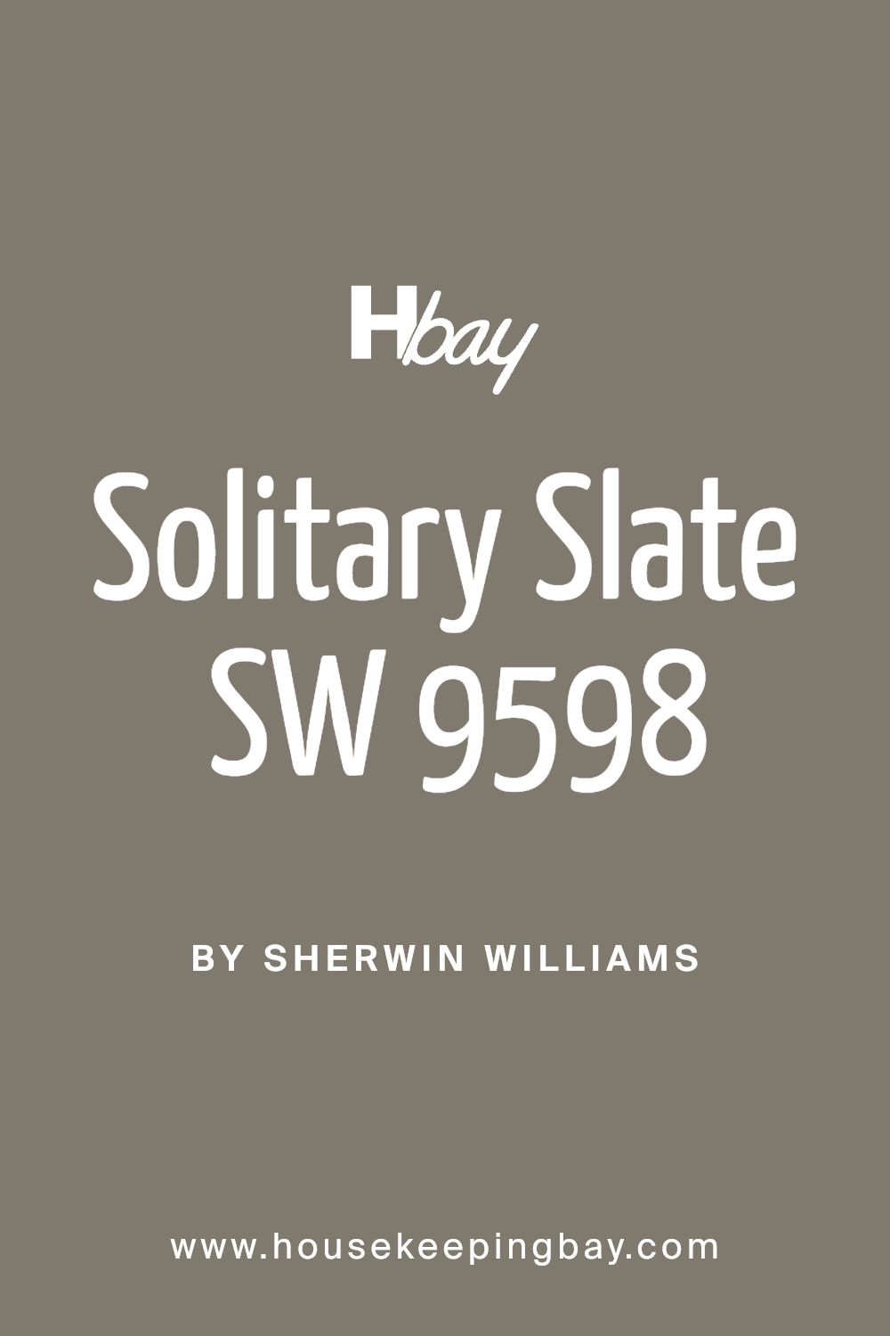 solitary_slate_sw_9598_paint_color_by_sherwin_williams