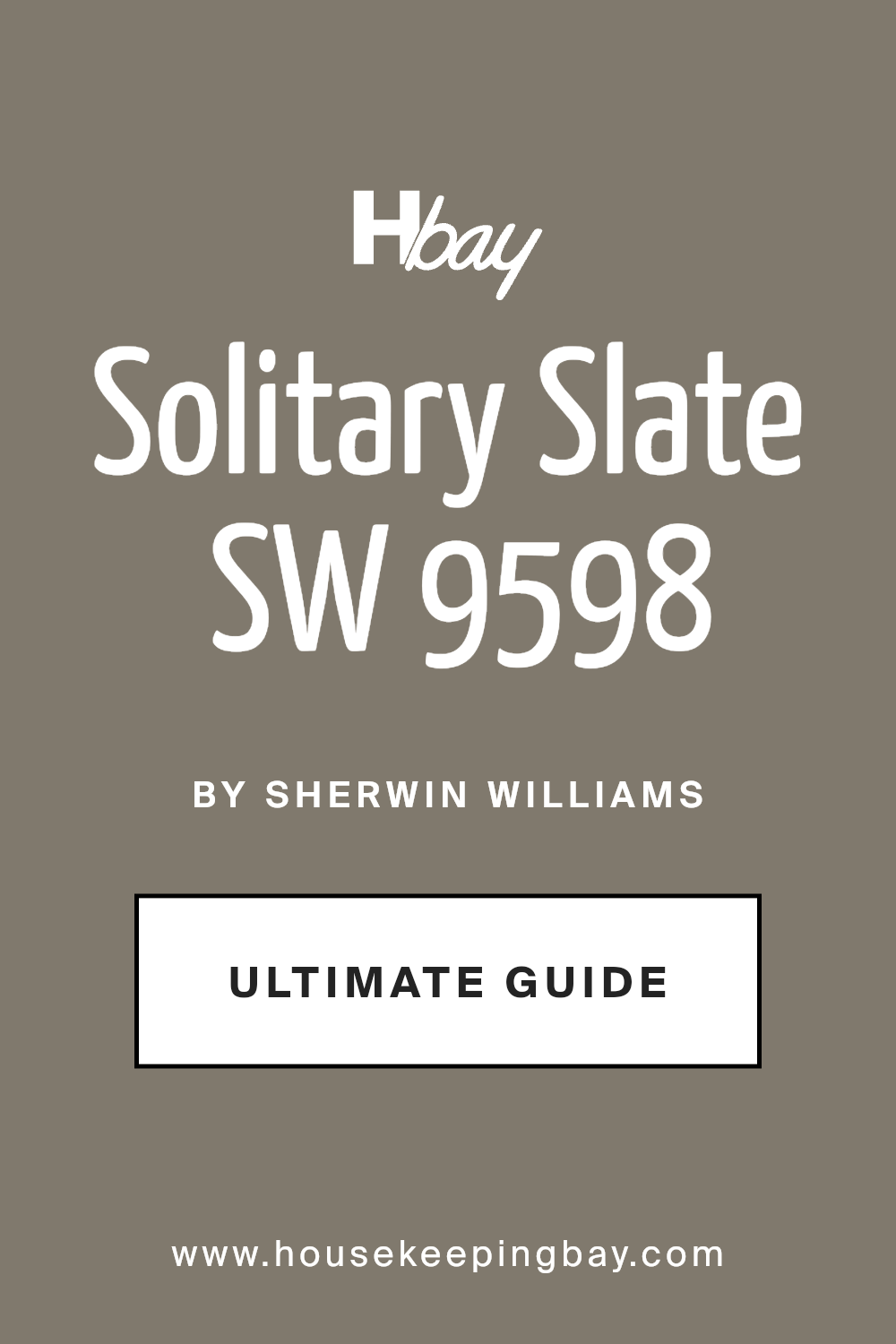 solitary_slate_sw_9598_paint_color_by_sherwin_williams_ultimate_guide
