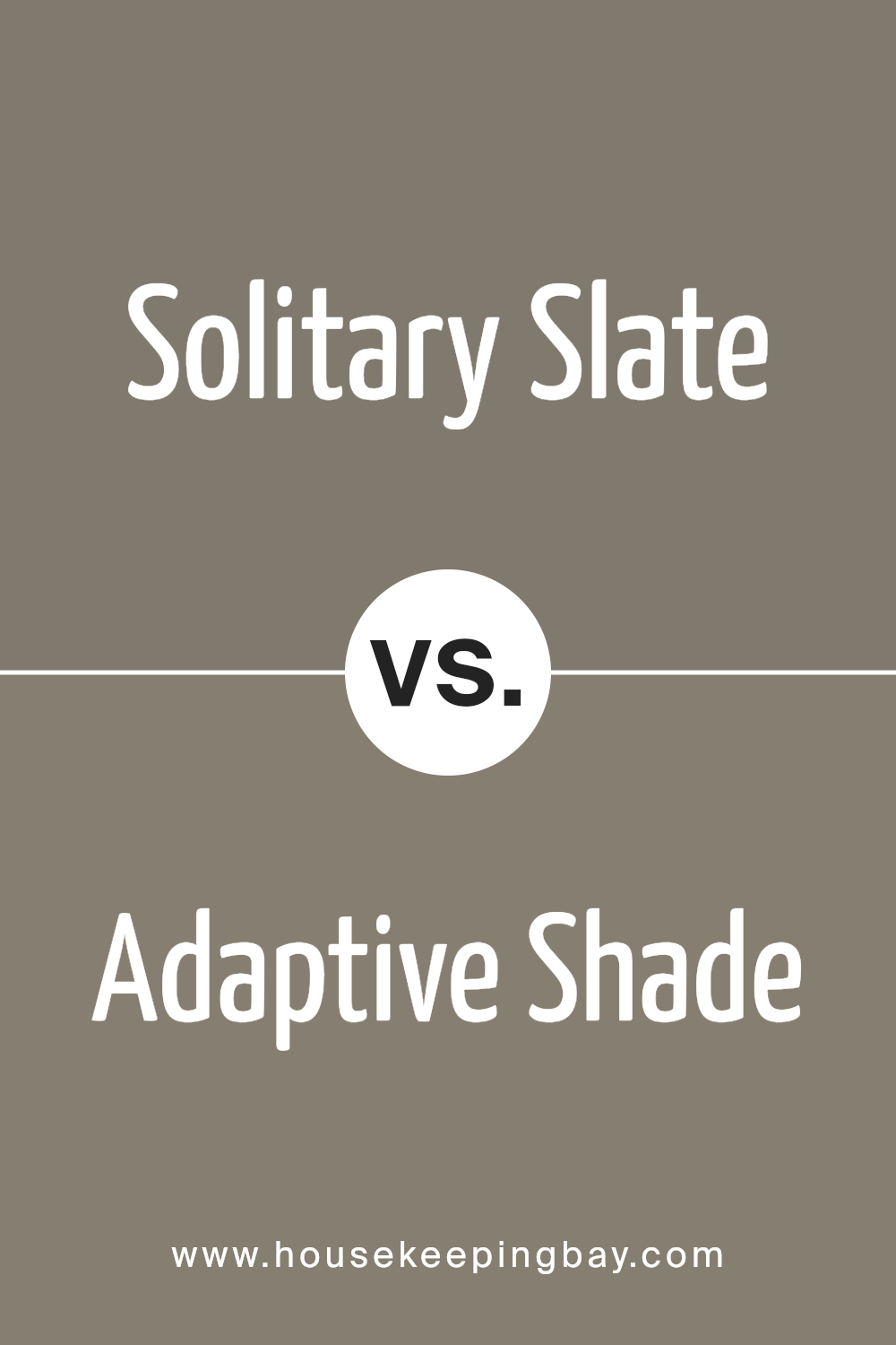 solitary_slate_sw_9598_vs_adaptive_shade_sw_7053