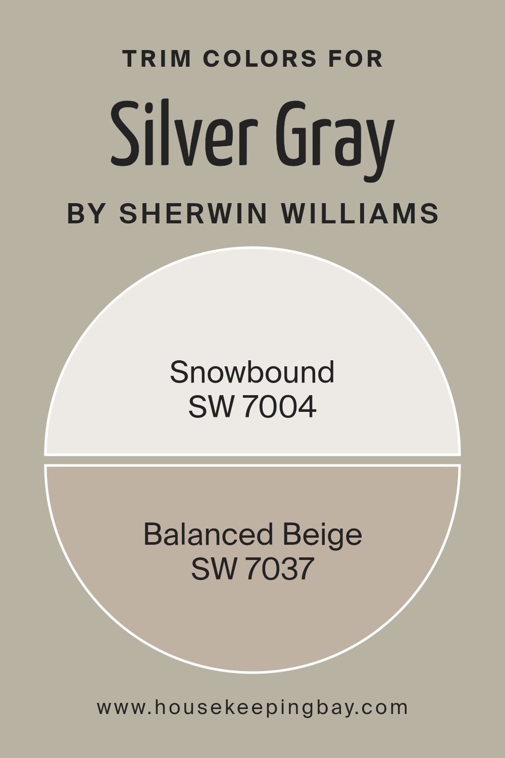 trim_colors_of_silver_gray_sw_0049