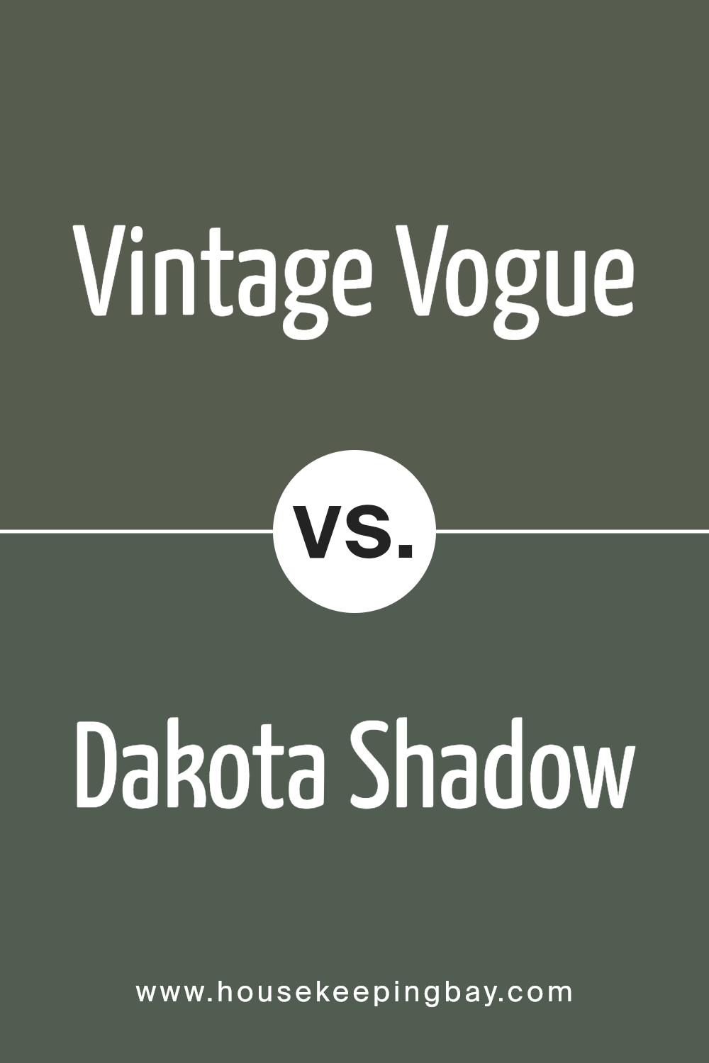 vintage_vogue_462_vs_dakota_shadow_448