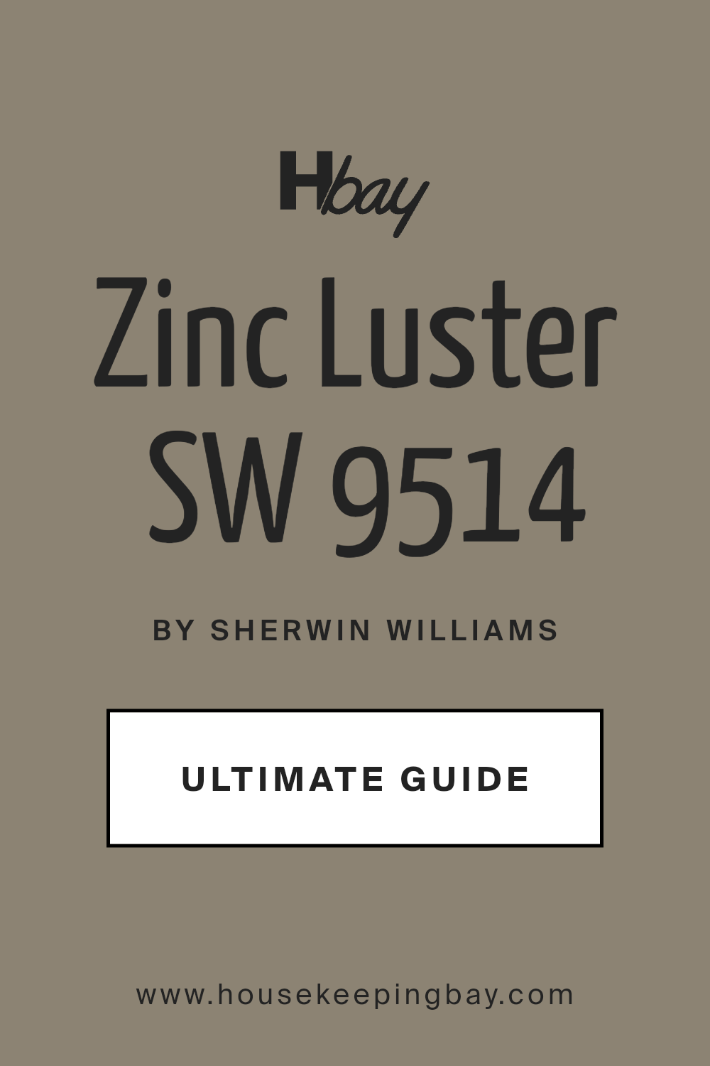 zinc_luster_sw_9514_paint_color_by_sherwin_williams_ultimate_guide