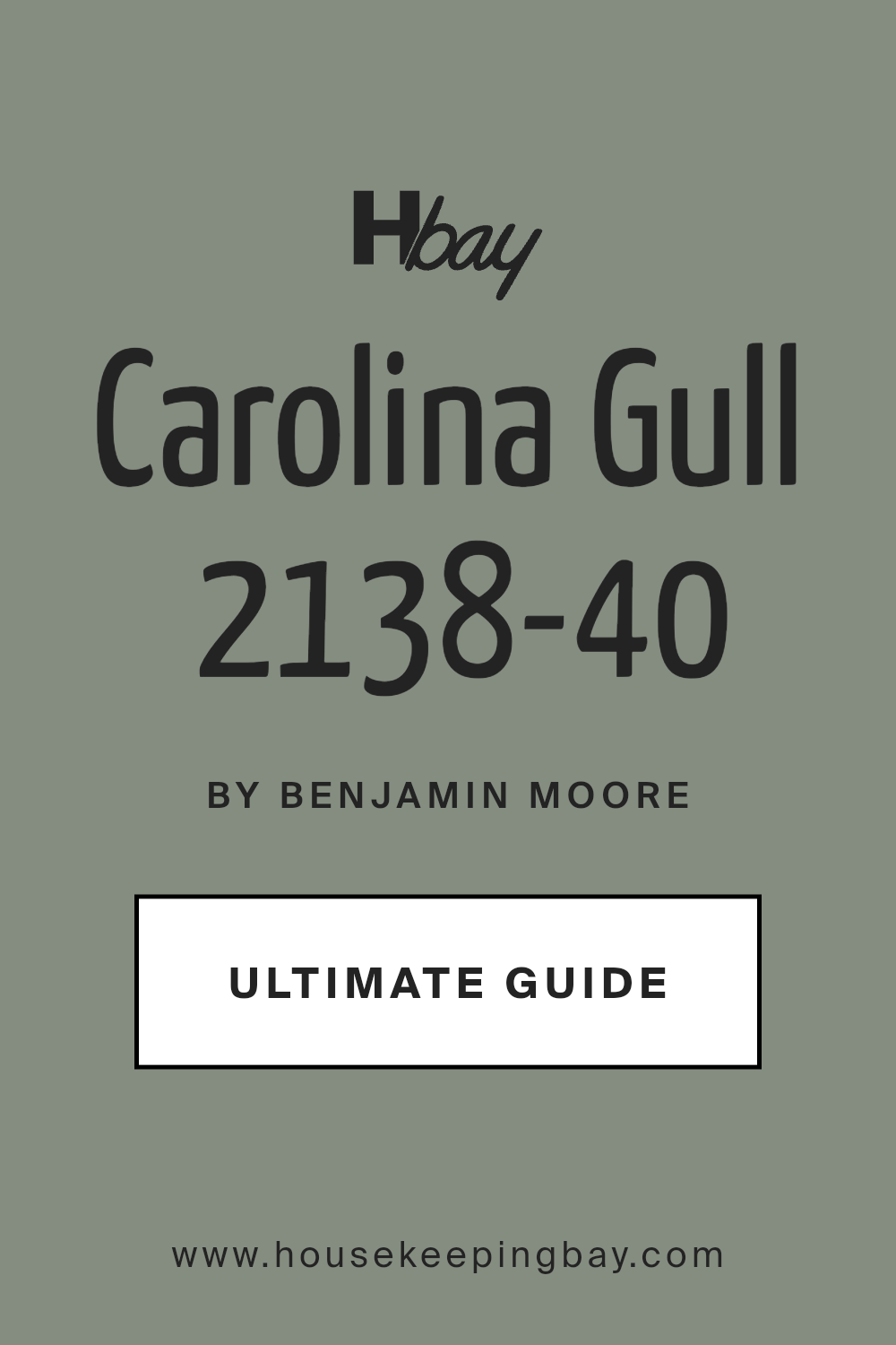 carolina_gull_2138_40_paint_color_by_benjamin_moore_ultimate_guide