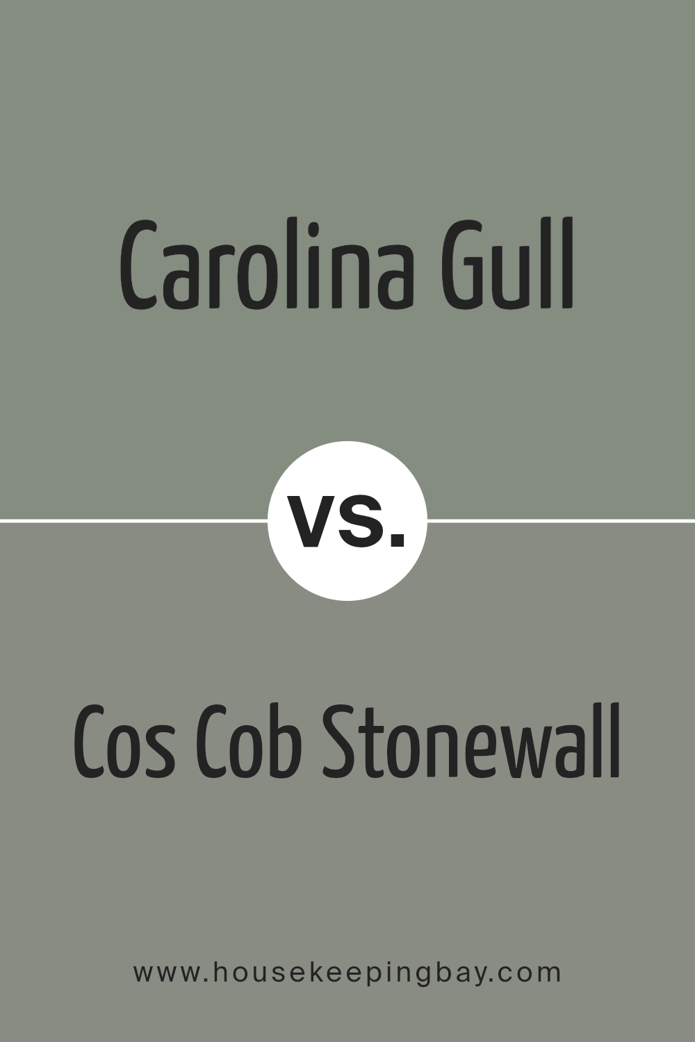 carolina_gull_2138_40_vs_cos_cob_stonewall_1483