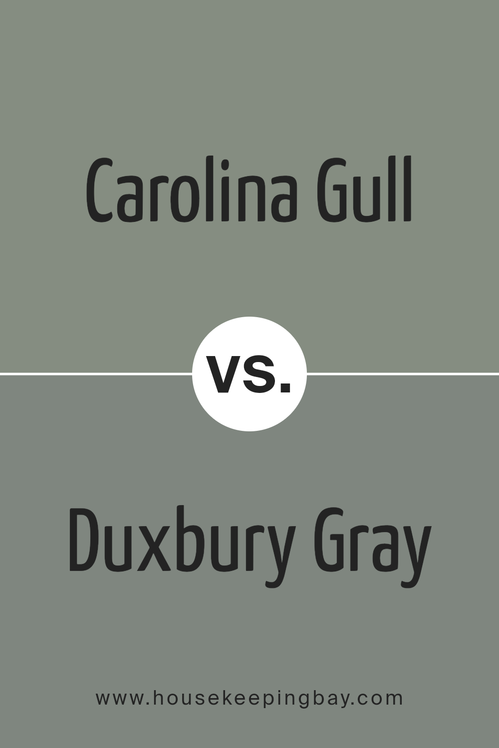 carolina_gull_2138_40_vs_duxbury_gray_hc_163