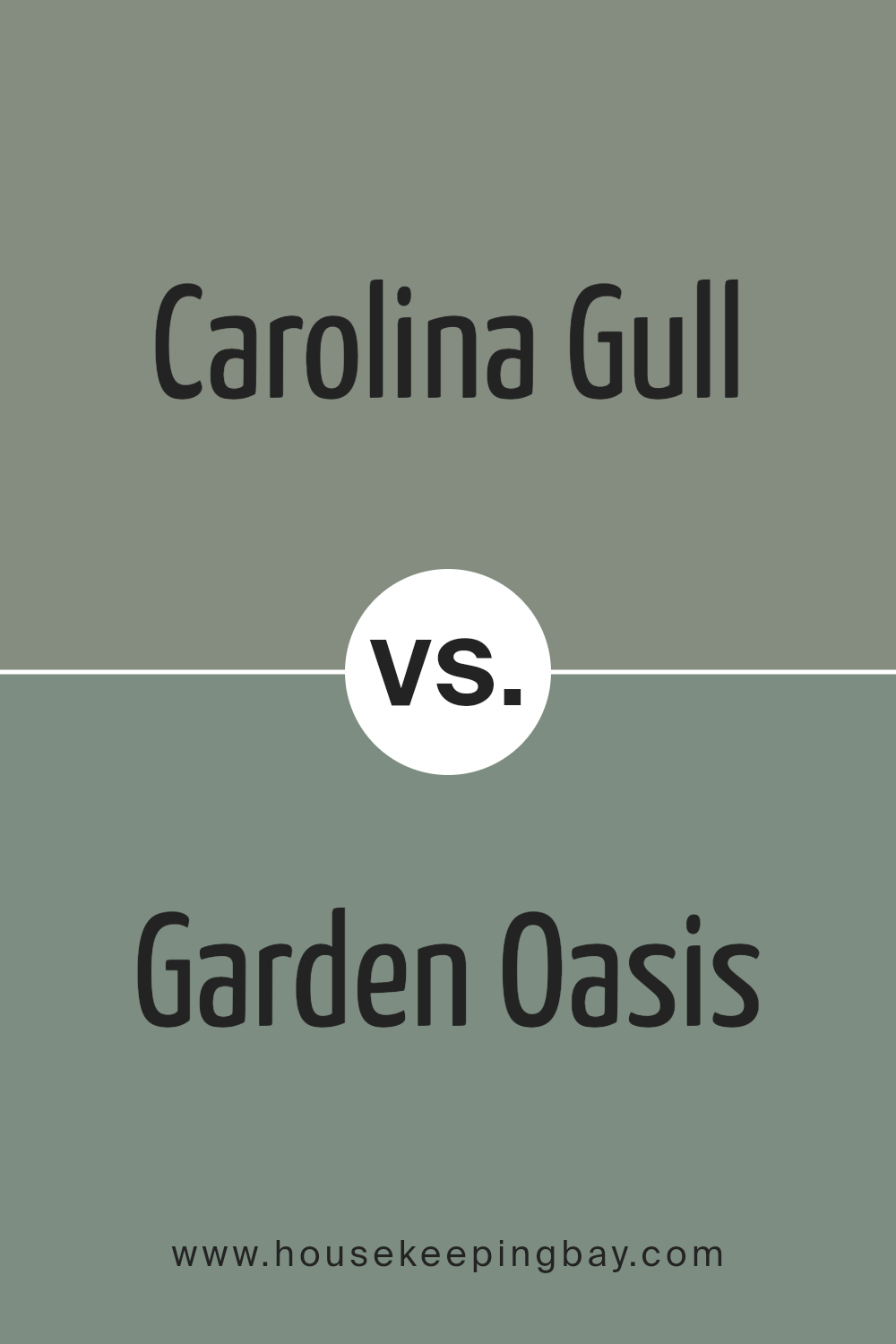 carolina_gull_2138_40_vs_garden_oasis_699