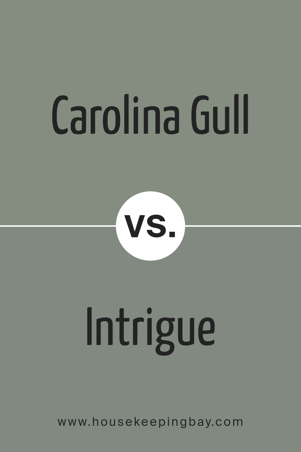 carolina_gull_2138_40_vs_intrigue_1580