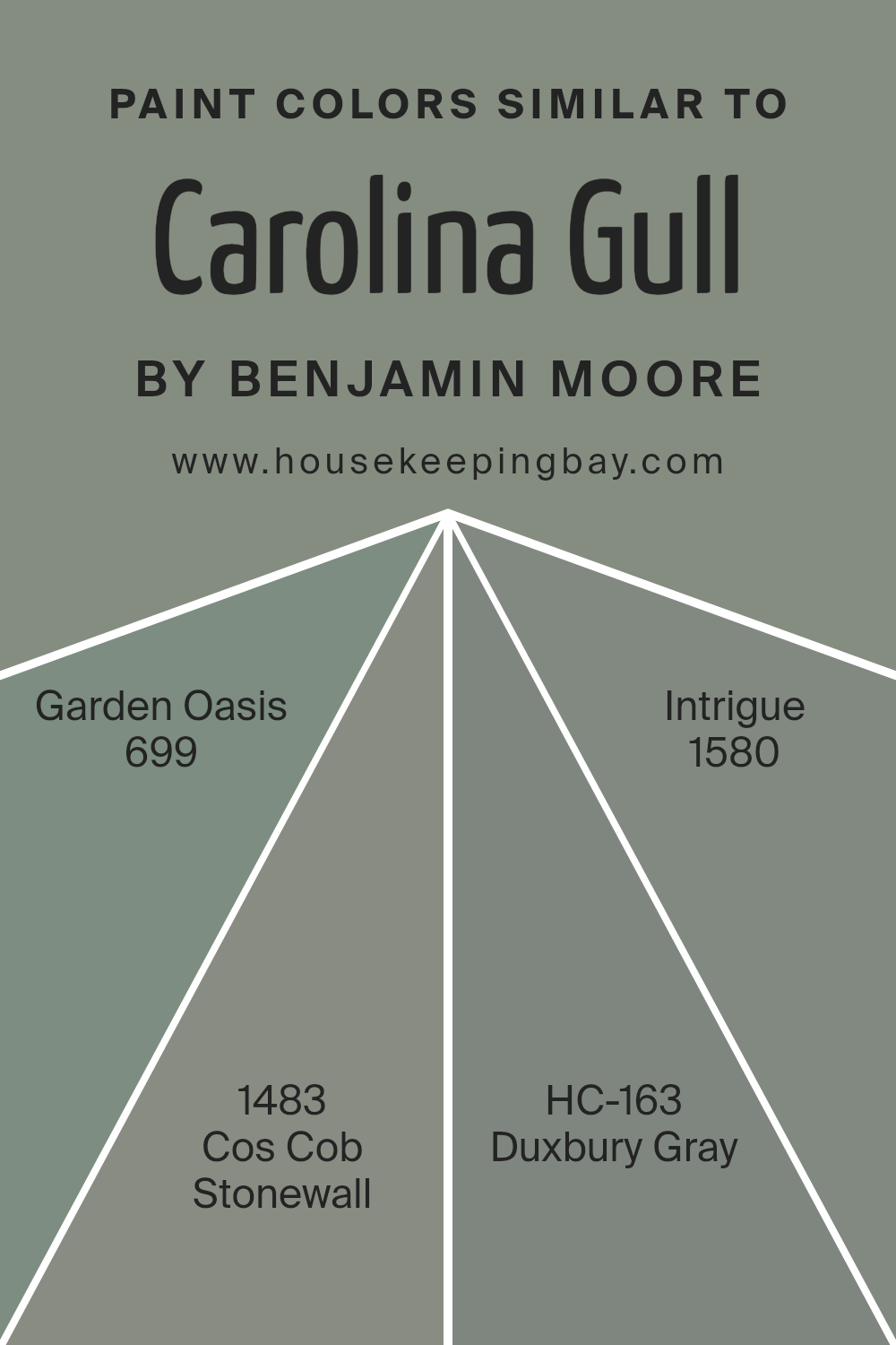 colors_similar_to_carolina_gull_2138_40