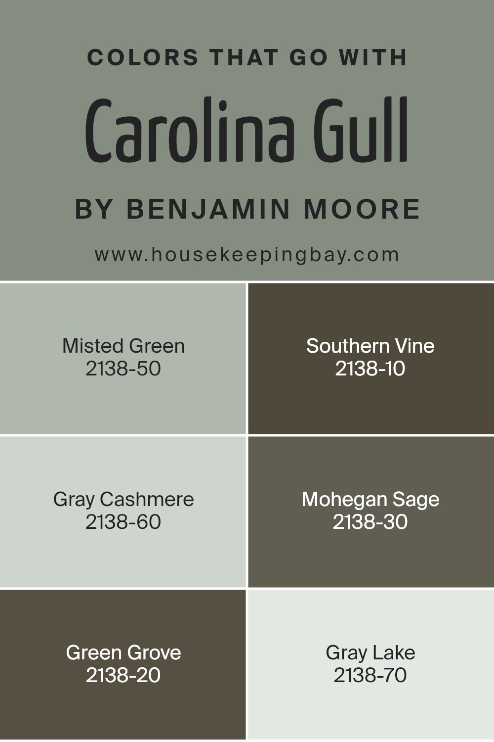 colors_that_go_with_carolina_gull_2138_40