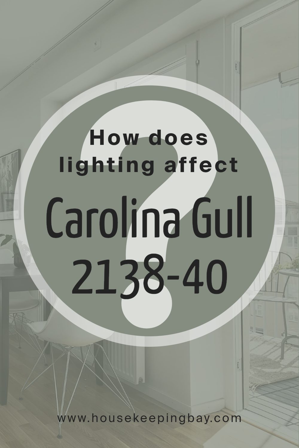 how_does_lighting_affect_carolina_gull_2138_40