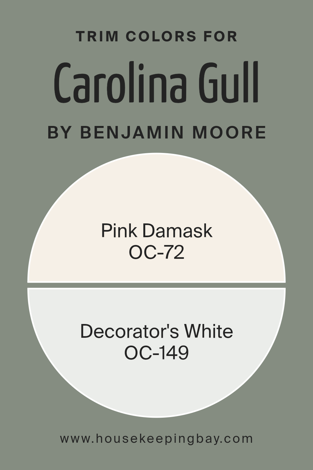 trim_colors_of_carolina_gull_2138_40