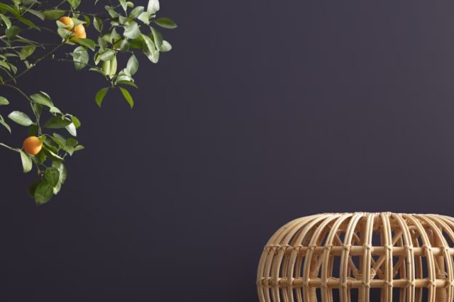 Deep Mulberry 2069-10 by Benjamin Moore
