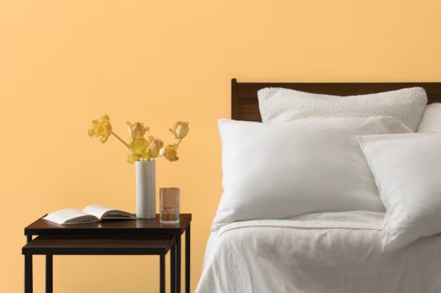 Florida Orange 152 by Benjamin Moore