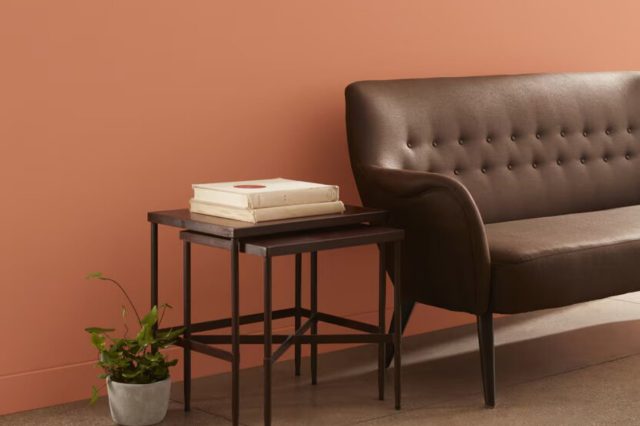Pumpkin Patch 055 by Benjamin Moore