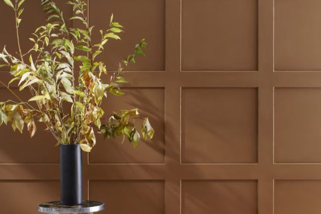 Saddle Brown 2164-10 by Benjamin Moore