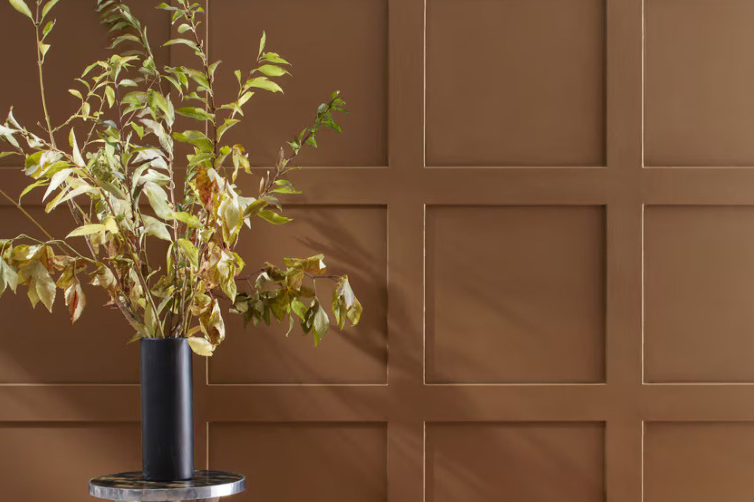 Saddle Brown 2164-10 by Benjamin Moore