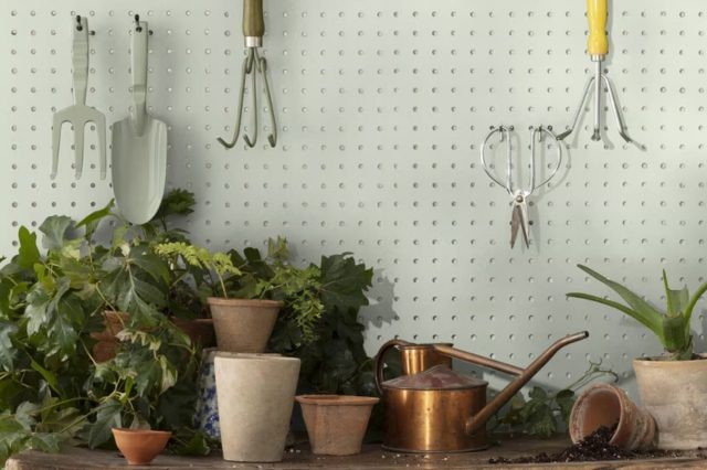 Thornton Sage 464 by Benjamin Moore