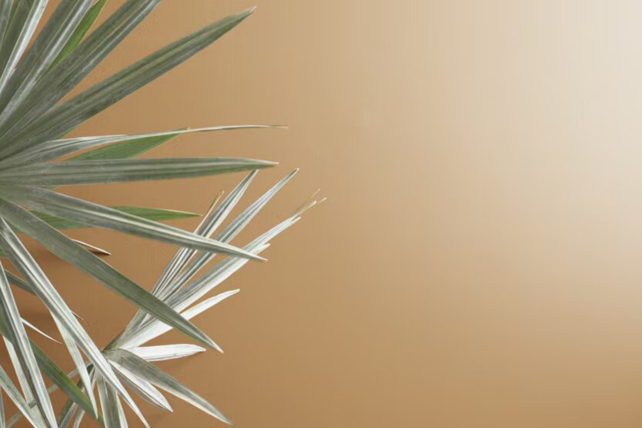 Tyler Taupe HC-43 by Benjamin Moore