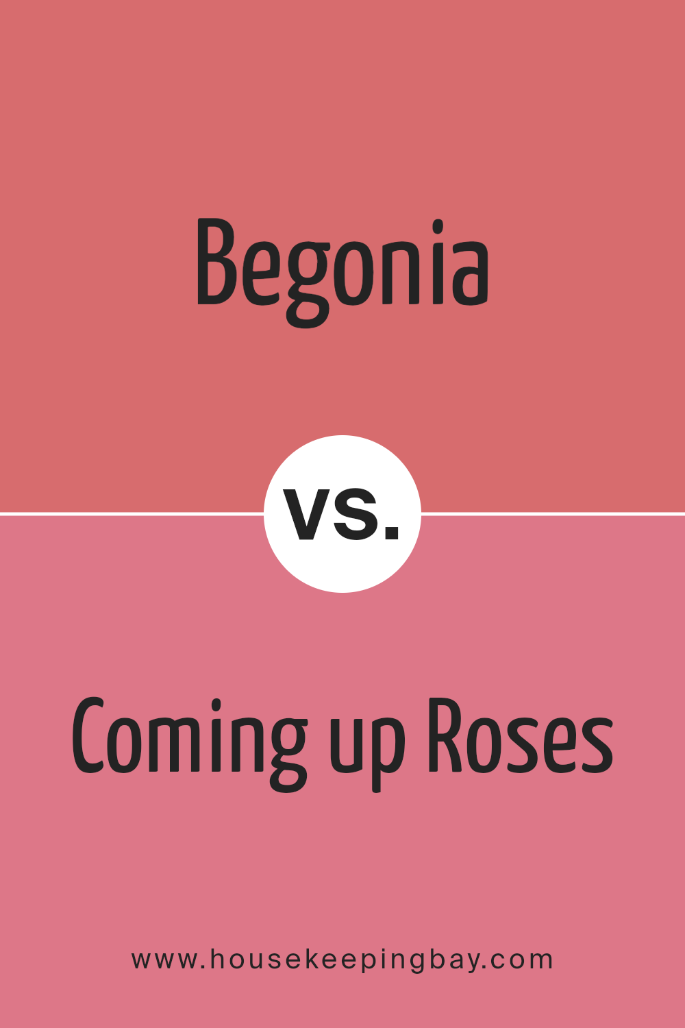 begonia_sw_6599_vs_coming_up_roses_sw_6585