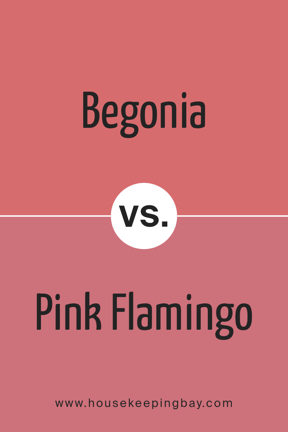 begonia_sw_6599_vs_pink_flamingo_sw_0080