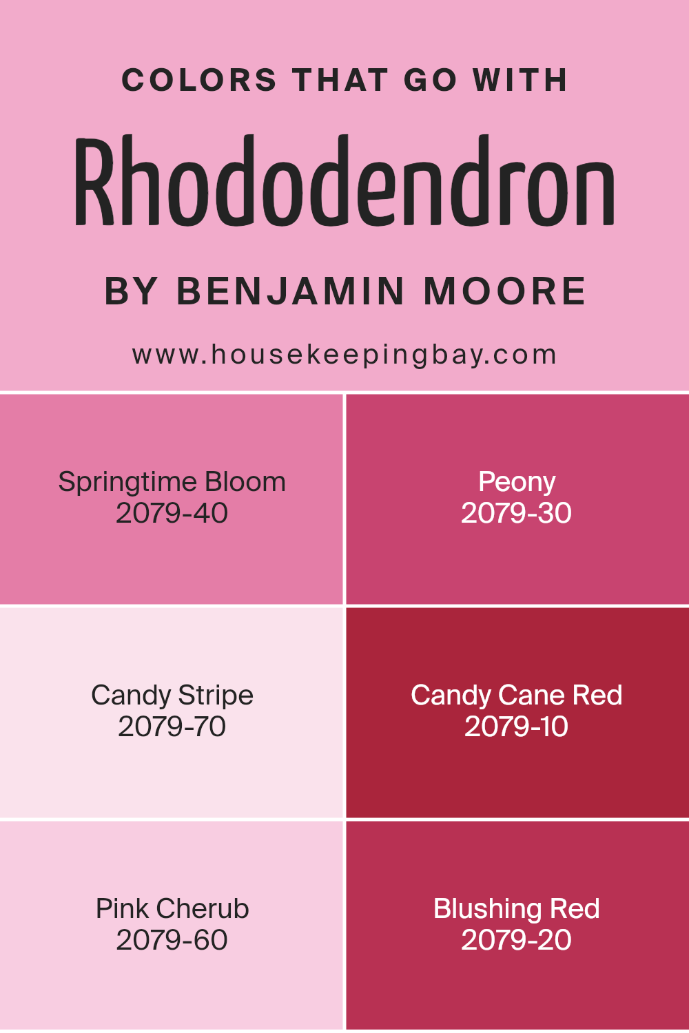 colors_that_go_with_rhododendron_2079_50