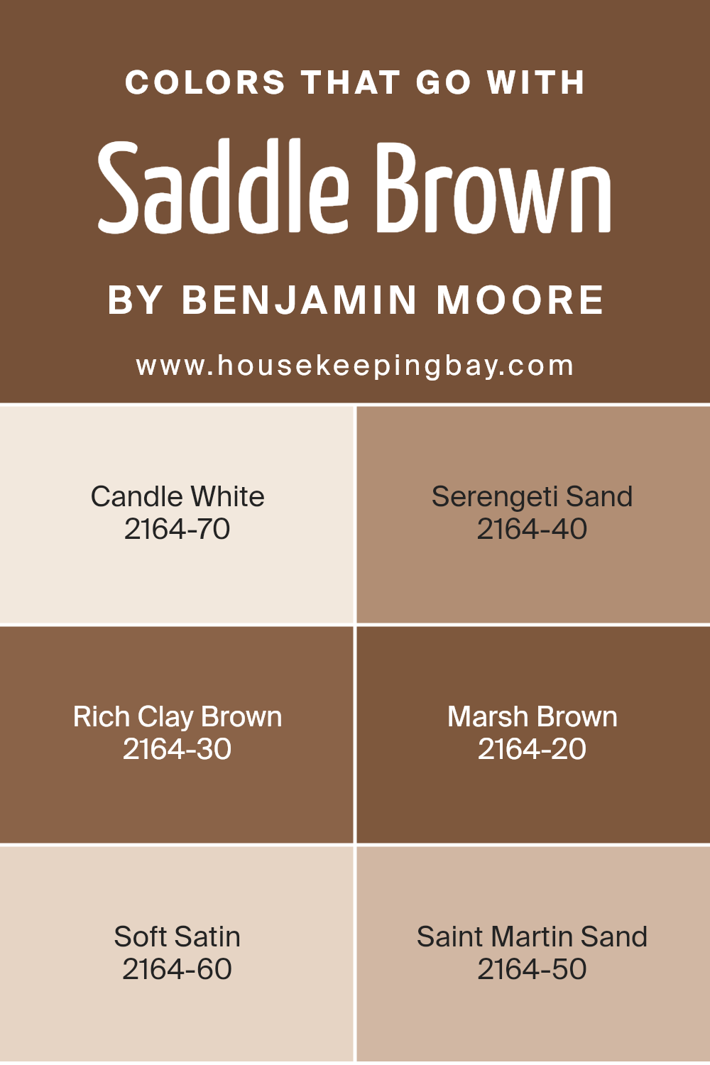 colors_that_go_with_saddle_brown_2164_10