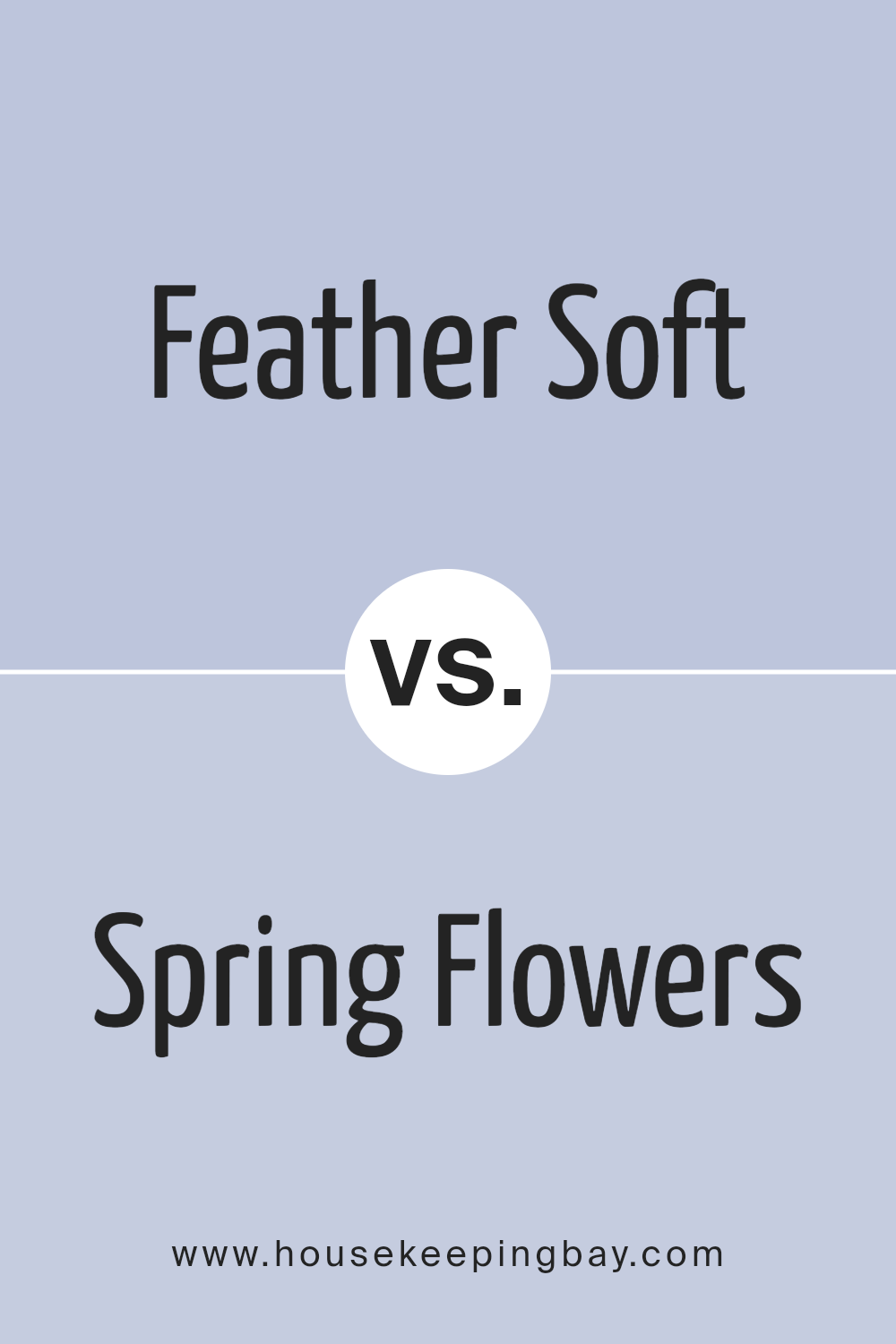 feather_soft_1431_vs_spring_flowers_1430