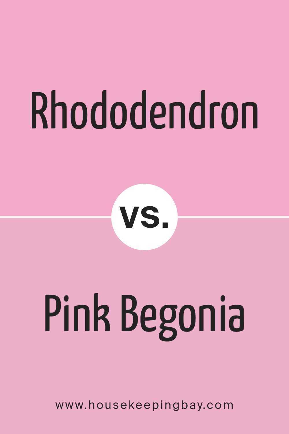 rhododendron_2079_50_vs_pink_begonia_2078_50