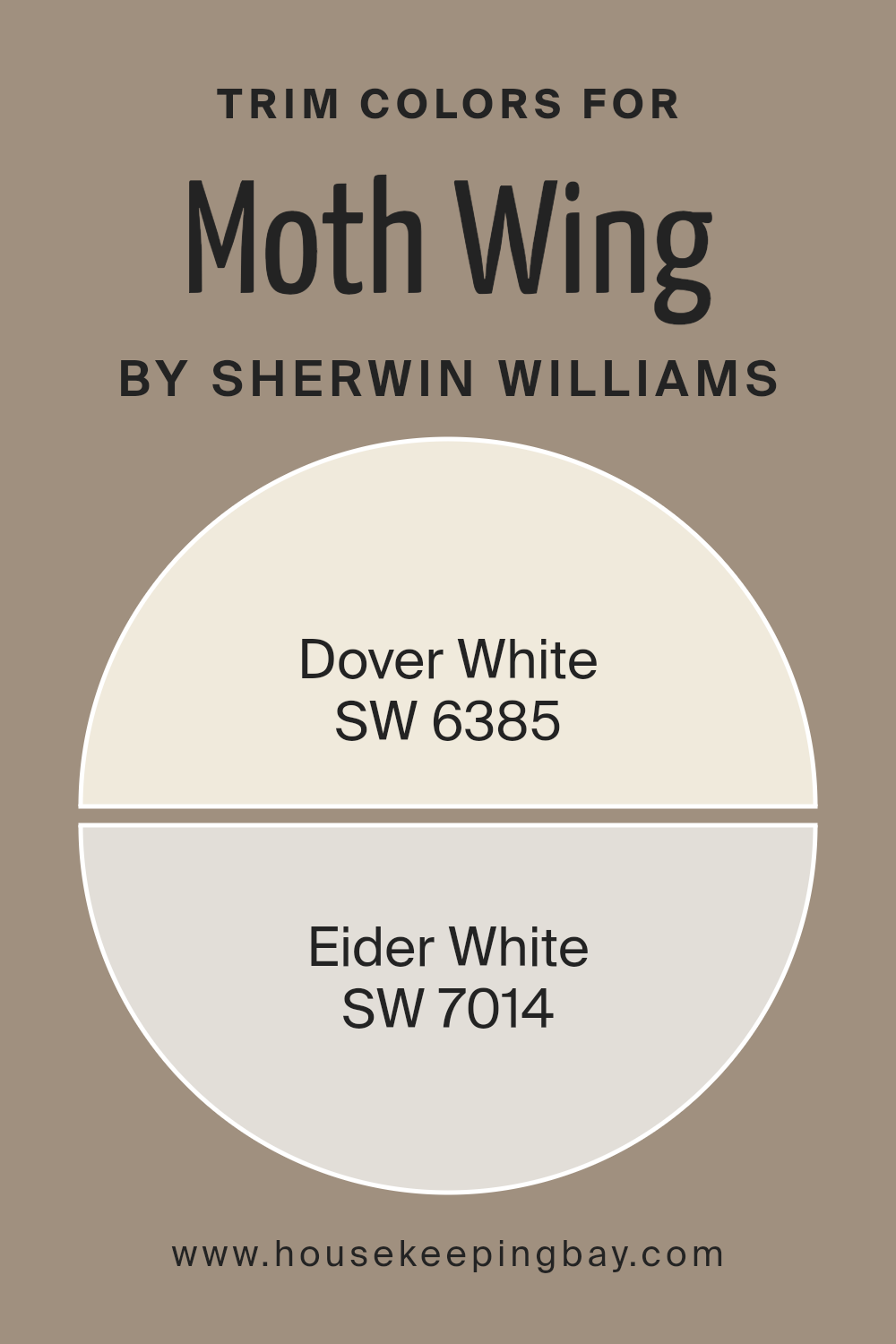 trim_colors_of_moth_wing_sw_9174