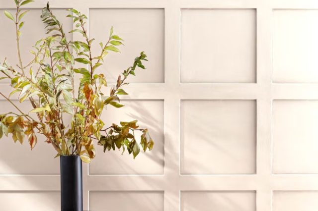 Candle White 2164-70 by Benjamin Moore
