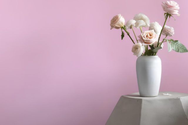 Countryside Pink 1361 Paint by Benjamin Moore