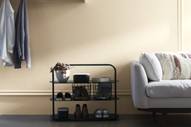 French White 1093 by Benjamin Moore