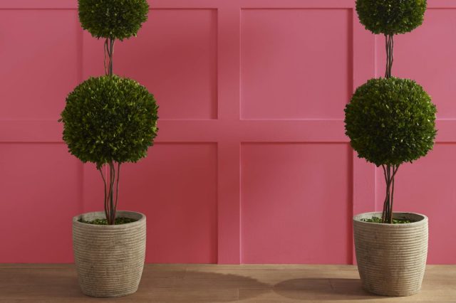 Mardi Gras 1342 by Benjamin Moore