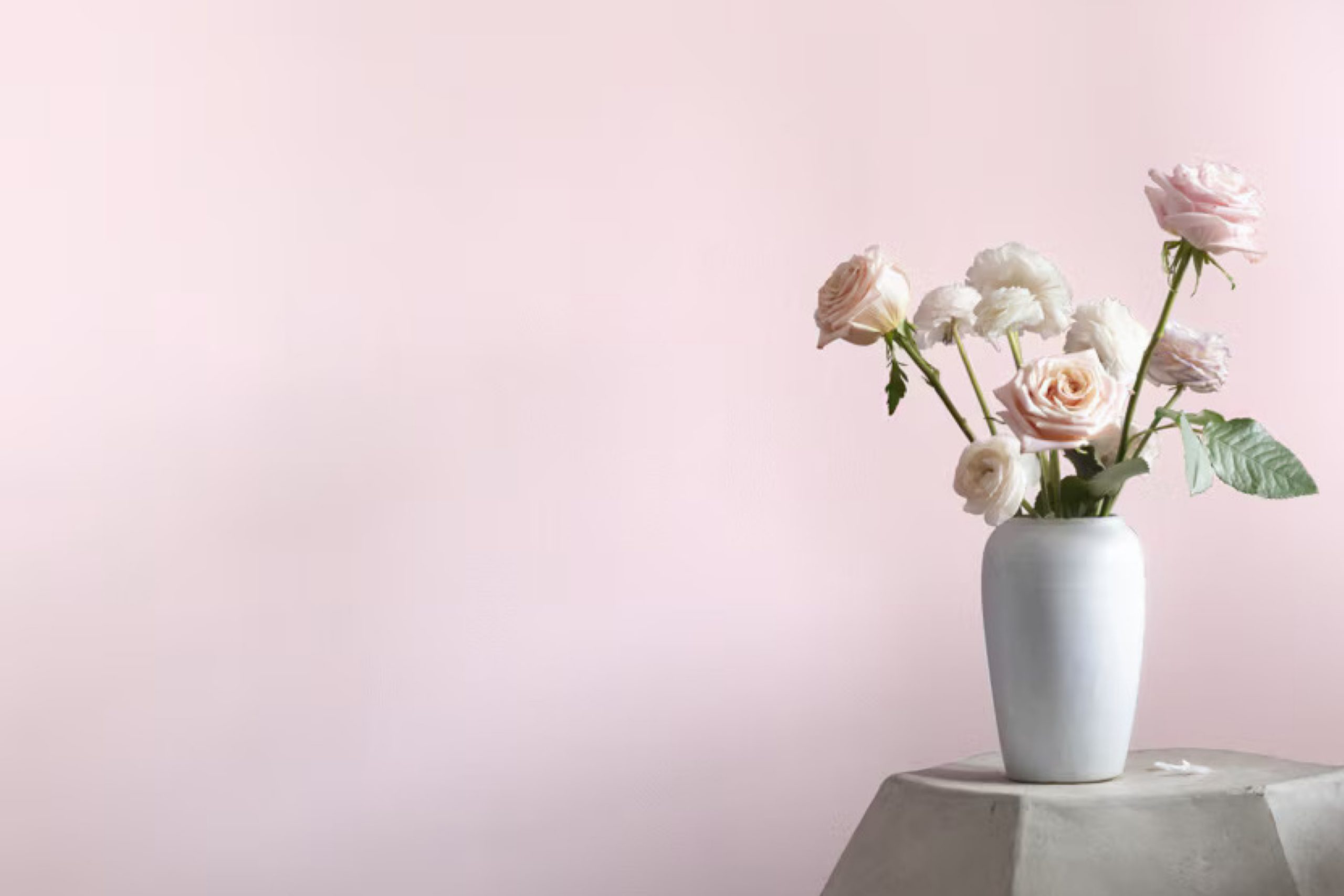 Peppermint 1359 by Benjamin Moore