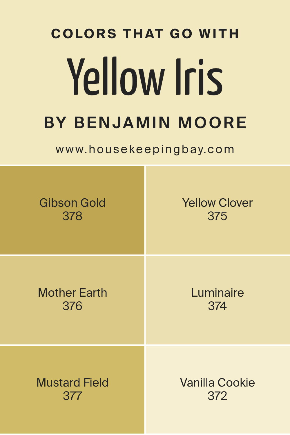 colors_that_go_with_yellow_iris_373