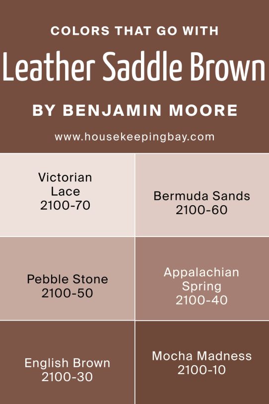 Colors That Go With Leather Saddle Brown 2100‑20 by Benjamin Moore 