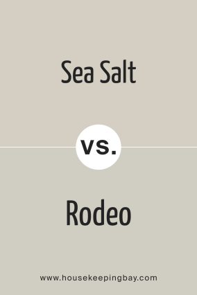 Sea Salt CSP‑95 by Benjamin Moore vs Rodeo 1534 by Benjamin Moore 