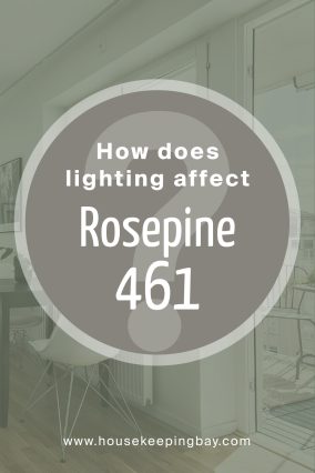 How Does Lighting Affect Rosepine 461 by Benjamin Moore?