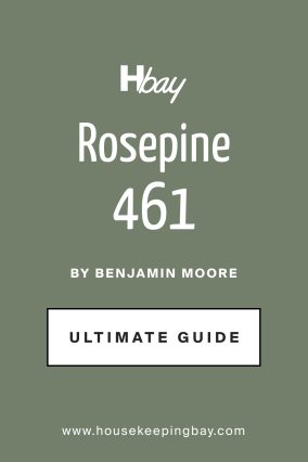 How to Use Rosepine 461 by Benjamin Moore in Your Home