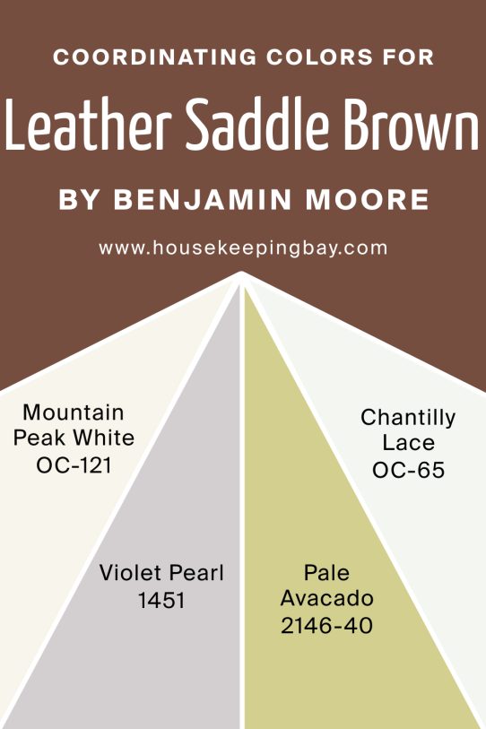 Coordinating Colors of Leather Saddle Brown 2100‑20 by Benjamin Moore 